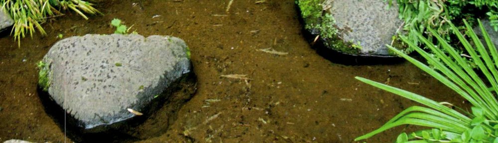 （仮）町田地区保護司会ホームページ