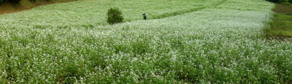 （仮）町田地区保護司会ホームページ