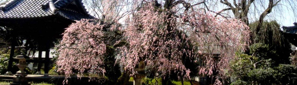（仮）町田地区保護司会ホームページ